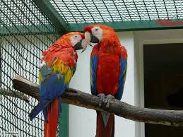 12. September Ausflug in den Vogelpark Teltow &ndash; Friedrich Küter Pflegewohnpark in Berlin