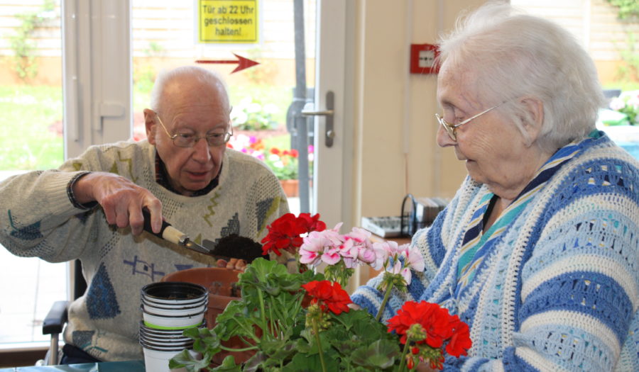 Pflanzfreude &ndash; Friedrich Küter Pflegewohnpark in Berlin