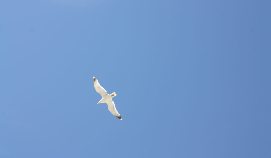 Wir feiern den Sommer! &ndash; Friedrich Küter Pflegewohnpark in Berlin